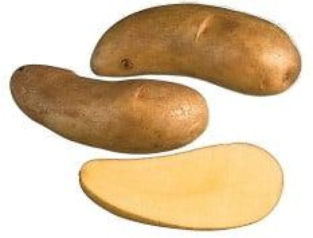 kodintavaratalo202609131445141748695