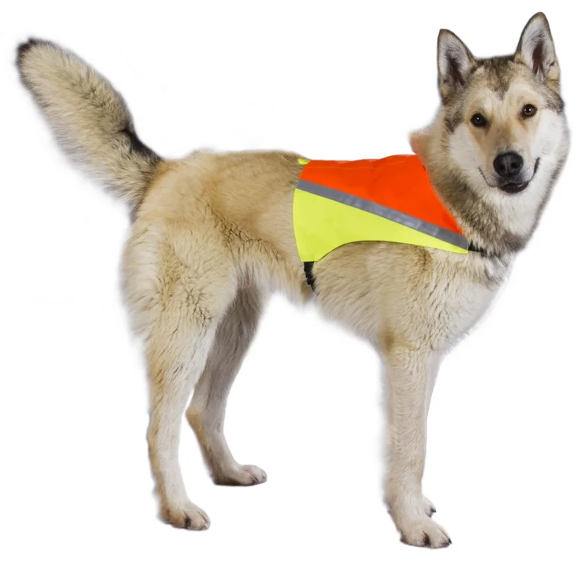 kodintavaratalo202609131652421774965