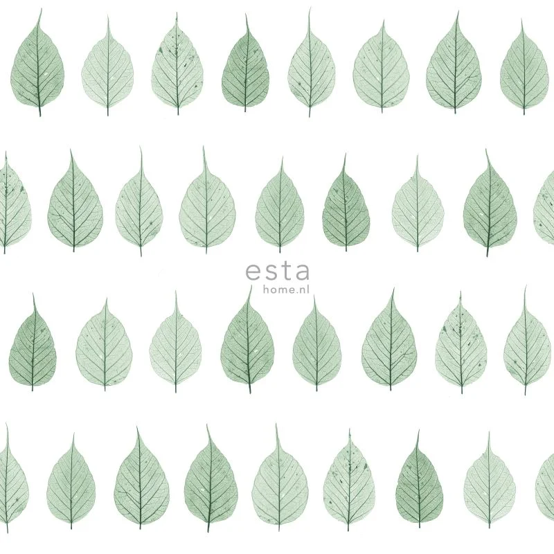 netrauta-1202609180318282465936