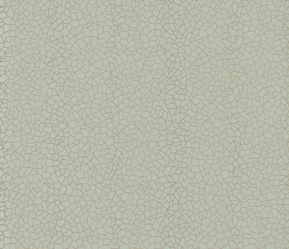 netrauta-1202609180532422485431