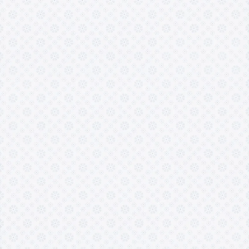 netrauta-1202609180808472508201
