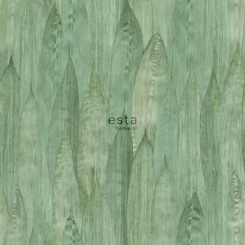 netrauta-1202609181832342588446