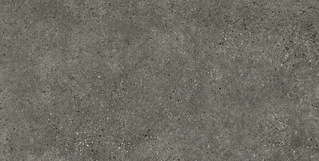netrauta-1202609182252432626233