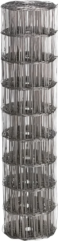 netrauta-1202609190756262697920