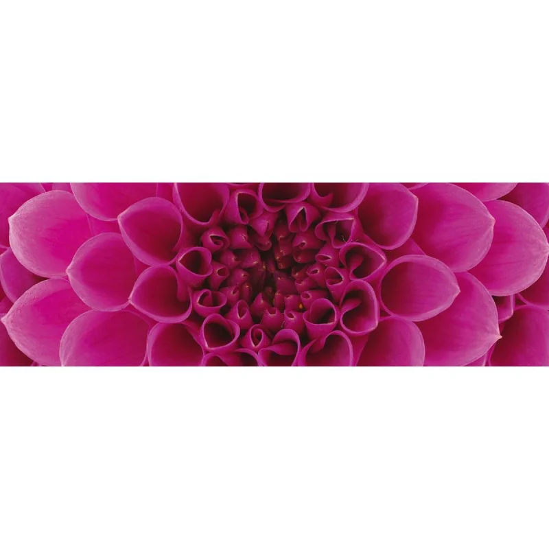netrauta-1202609191935522804830
