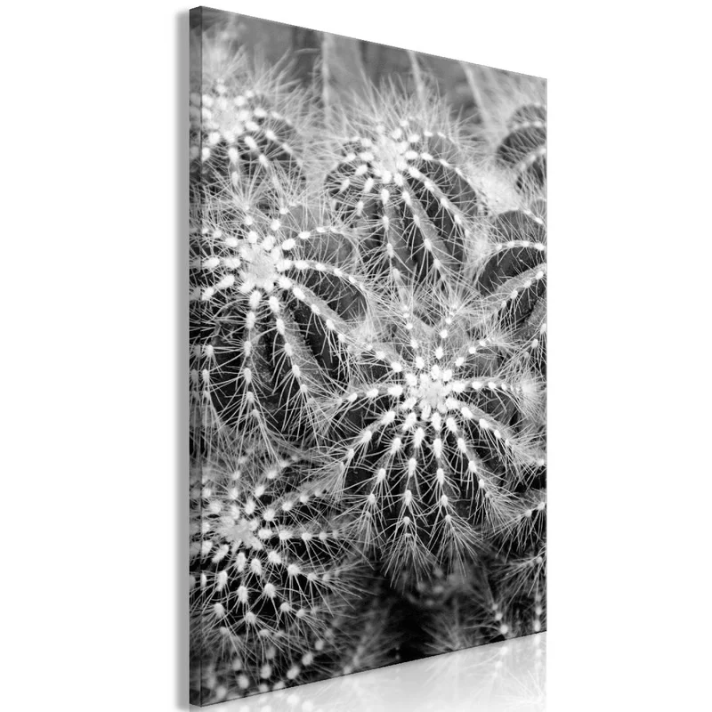 netrauta-2202609160400462155908
