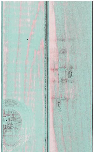 netrauta-2202609170934052328149