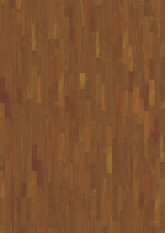 netrauta-2202609181125292525433