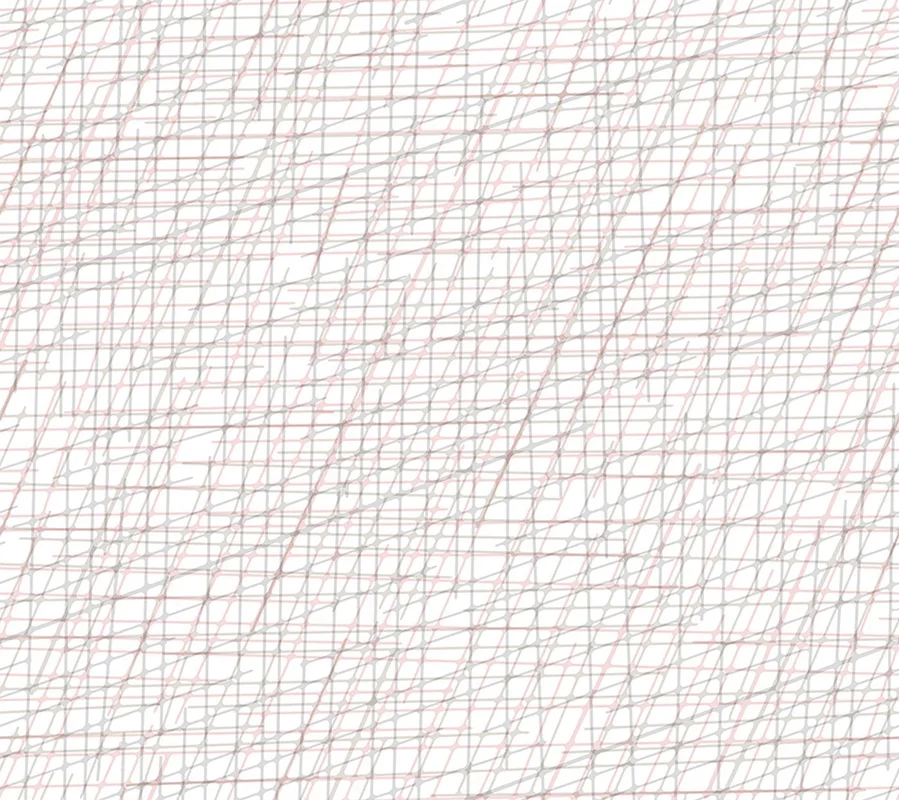 netrauta-2202609181410282550871