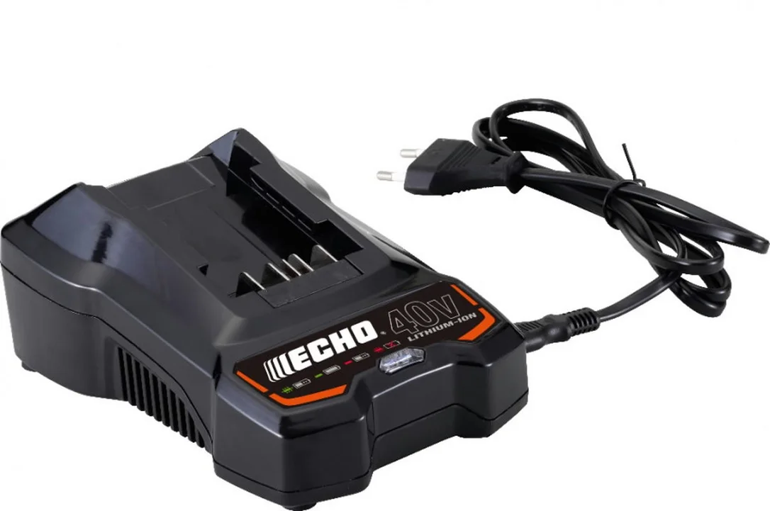 netrauta-2202609190022032639350