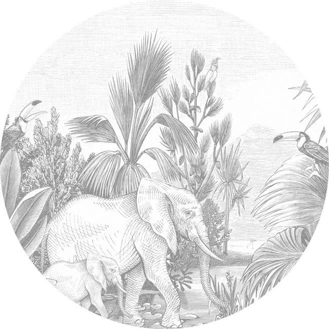 netrauta-2202609210627013102472