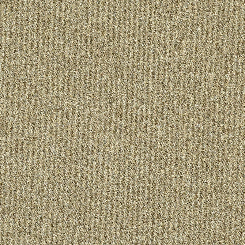 netrauta-2202609211204383134822