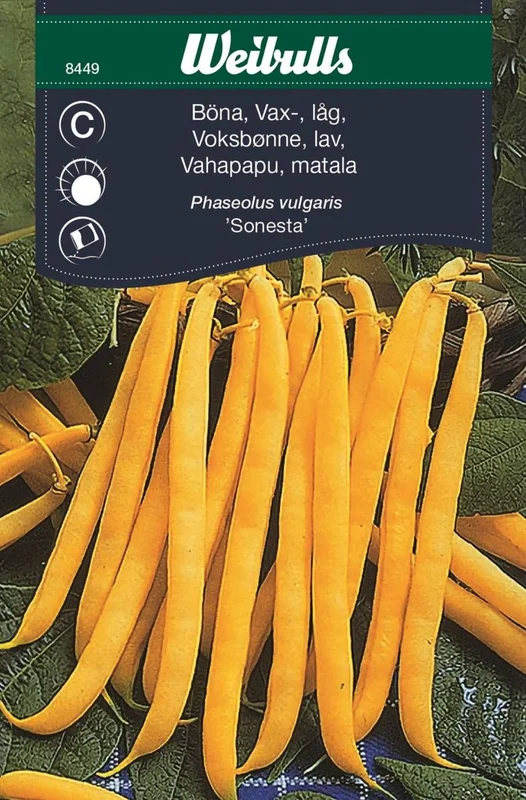 netrauta-3202609181720562576252